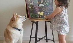 艺犬堂员工爆料视频,揭秘幕后真相